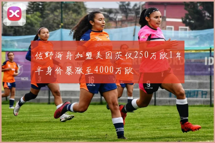 佐野海舟加盟美因茨仅250万欧1年半身价暴涨至4000万欧