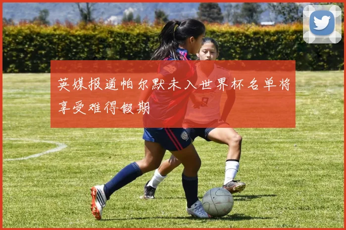 英媒报道帕尔默未入世界杯名单将享受难得假期